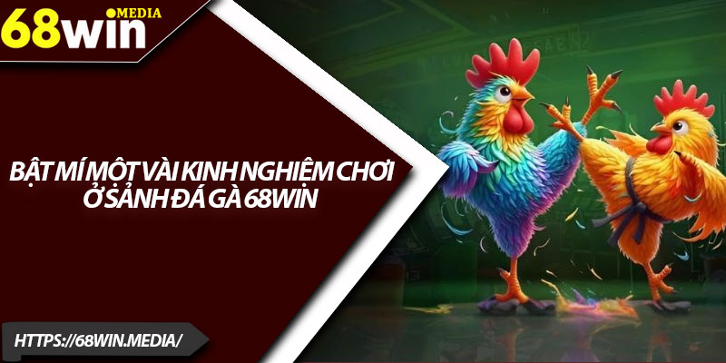 Đá Gà 68win – Mở Rộng Cơ Hội Kiếm Tiền Trực Tuyến 3 Bật mí một vài kinh nghiệm chơi ở sảnh đá gà 68win