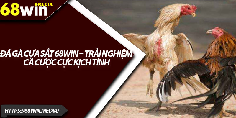 Đá Gà Cựa Sắt 68win – Trải Nghiệm Cá Cược Cực Kịch Tính 1 Da Ga Cua Sat 68win – Trai Nghiem Ca Cuoc Cuc Kich Tinh