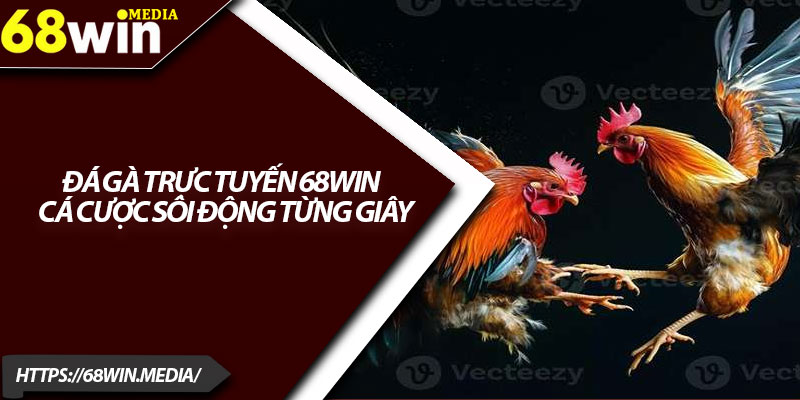 Đá Gà Trực Tuyến 68win – Cá Cược Sôi Động Từng Giây 1 Da Ga Truc Tuyen 68win – Ca Cuoc Soi Dong Tung Giay