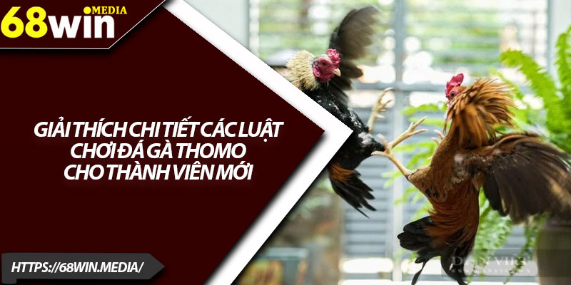 Đá Gà Thomo 68win – Trải Nghiệm Cá Cược Hấp Dẫn 3 Giải thích chi tiết các luật chơi đá gà Thomo cho thành viên mới