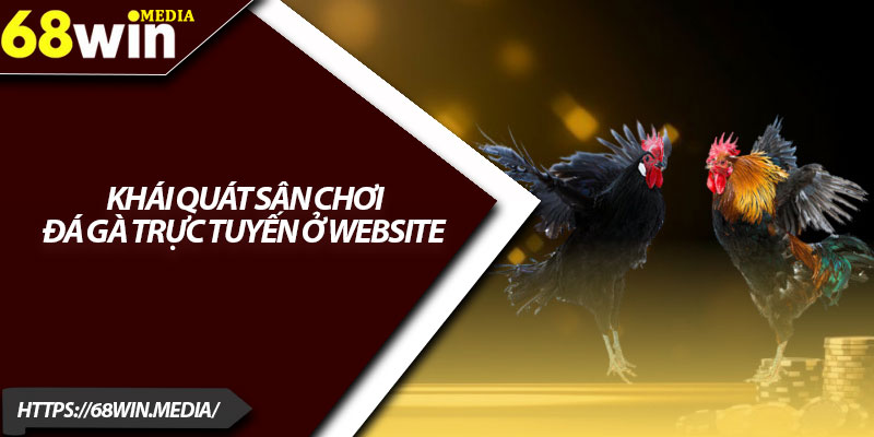Đá Gà Trực Tuyến 68win – Cá Cược Sôi Động Từng Giây 2 Khái quát sân chơi đá gà trực tuyến ở website