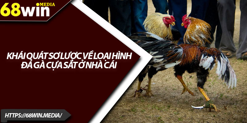 Đá Gà Cựa Sắt 68win – Trải Nghiệm Cá Cược Cực Kịch Tính 2 Khái quát sơ lược về loại hình đá gà cựa sắt ở nhà cái