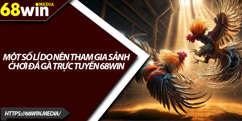 Đá Gà 68win – Mở Rộng Cơ Hội Kiếm Tiền Trực Tuyến 1 Một số lí do nên tham gia sảnh chơi đá gà trực tuyến 68win