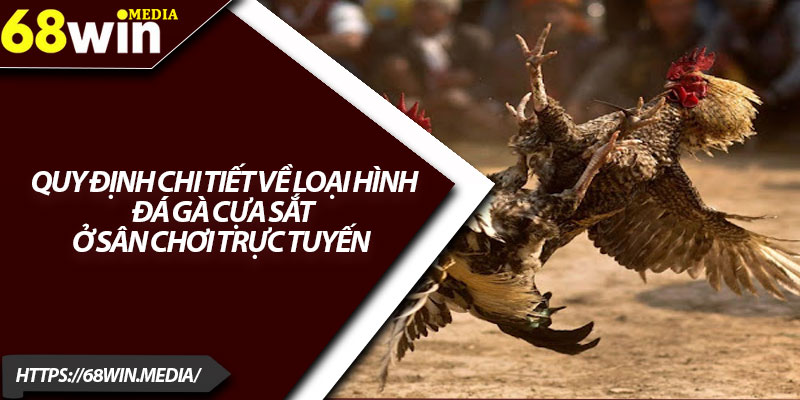 Đá Gà Cựa Sắt 68win – Trải Nghiệm Cá Cược Cực Kịch Tính 3 Quy định chi tiết về loại hình đá gà cựa sắt ở sân chơi trực tuyến