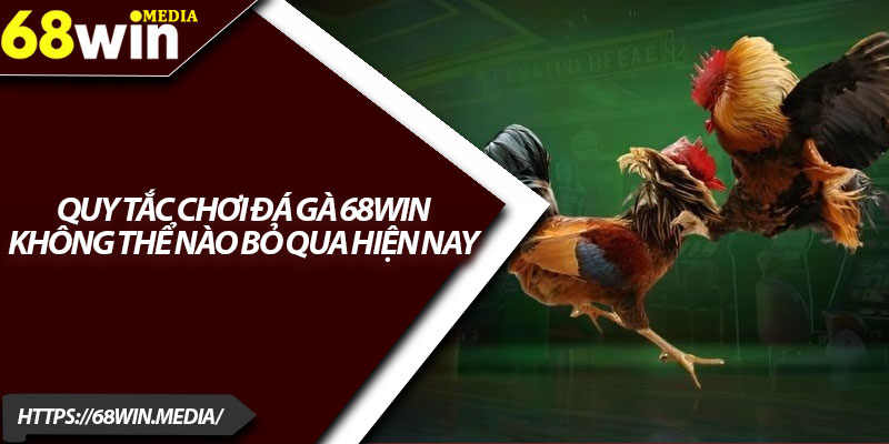Đá Gà 68win – Mở Rộng Cơ Hội Kiếm Tiền Trực Tuyến 2 Quy tắc chơi đá gà 68win không thể nào bỏ qua hiện nay