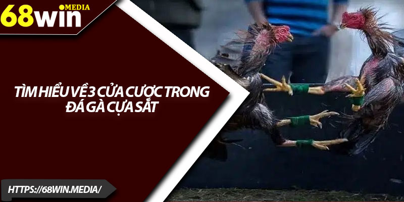 Đá Gà Cựa Sắt 68win – Trải Nghiệm Cá Cược Cực Kịch Tính 4 Tìm hiểu về 3 cửa cược trong đá gà cựa sắt